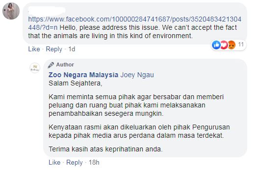 Zoo Negara’s response to a comment. Photo: Zoo Negara Malaysia /Facebook