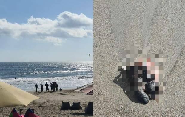 The decaying human foot was found yesterday afternoon. Screengrab: Instagram