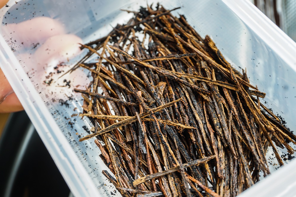 Dried vanilla beans pods and their tiny black seeds, also called ‘caviar’