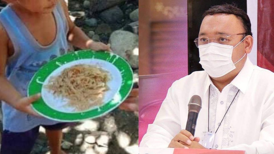 <i>Photo: Department of Social Welfare and Development / FB, Harry Roque / FB</i>