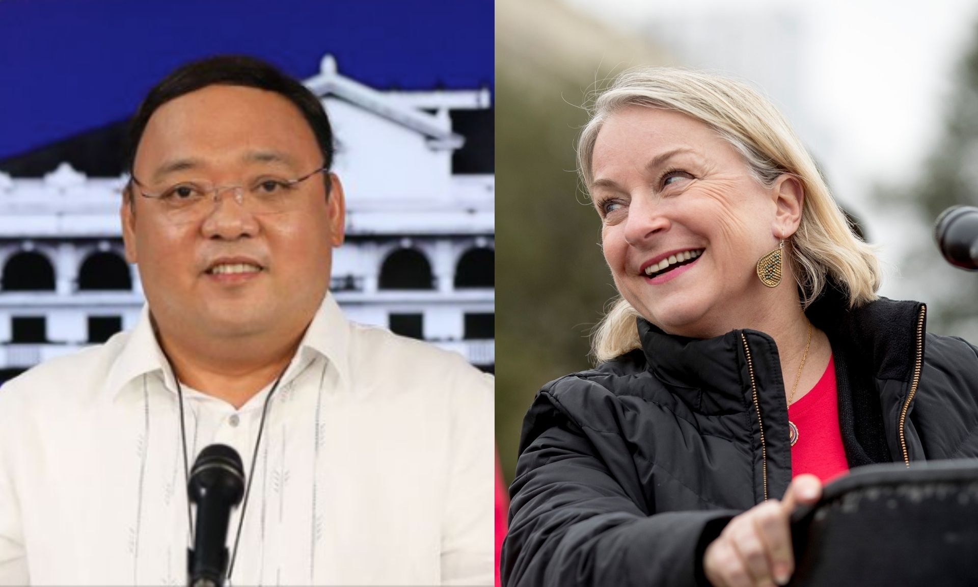 'Wild idea': Roque takes sarcastic dig at US lawmaker's plea to halt PH ...