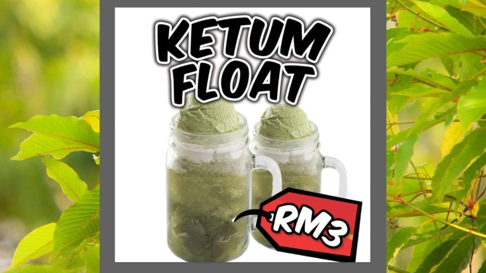 “Ketum float” image. Photo: Dale Rok Kubang Kerian /Facebook
