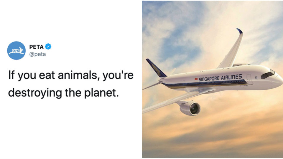 At left, a screengrab of a PETA tweet, and an SIA plane, at right. Images: PETA/Facebook, Singapore Airlines/Facebook
