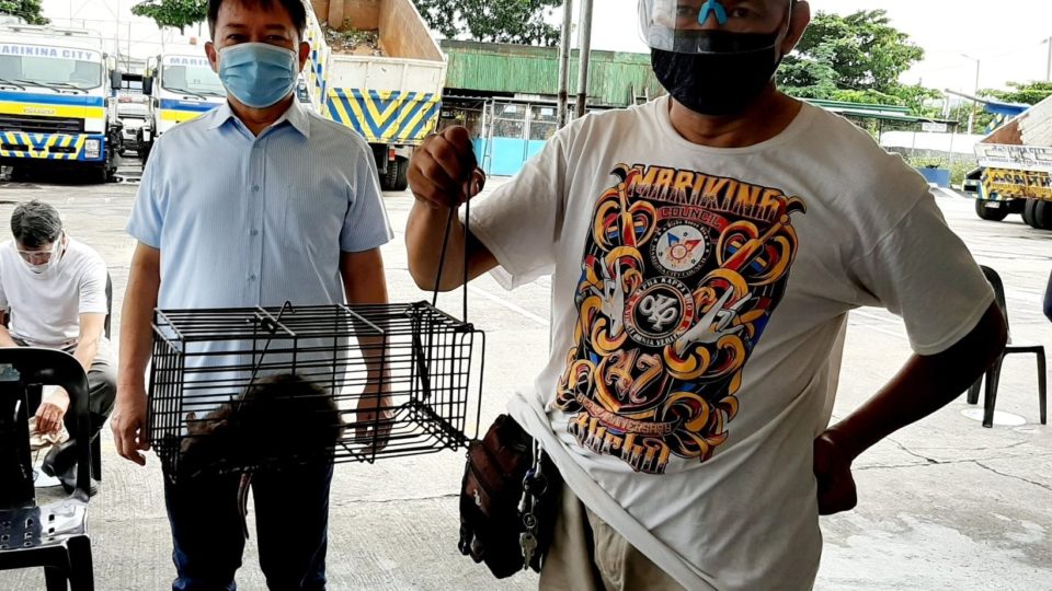 A Marikina resident shows off a rat he caught. Photo: Marion Andres/FB