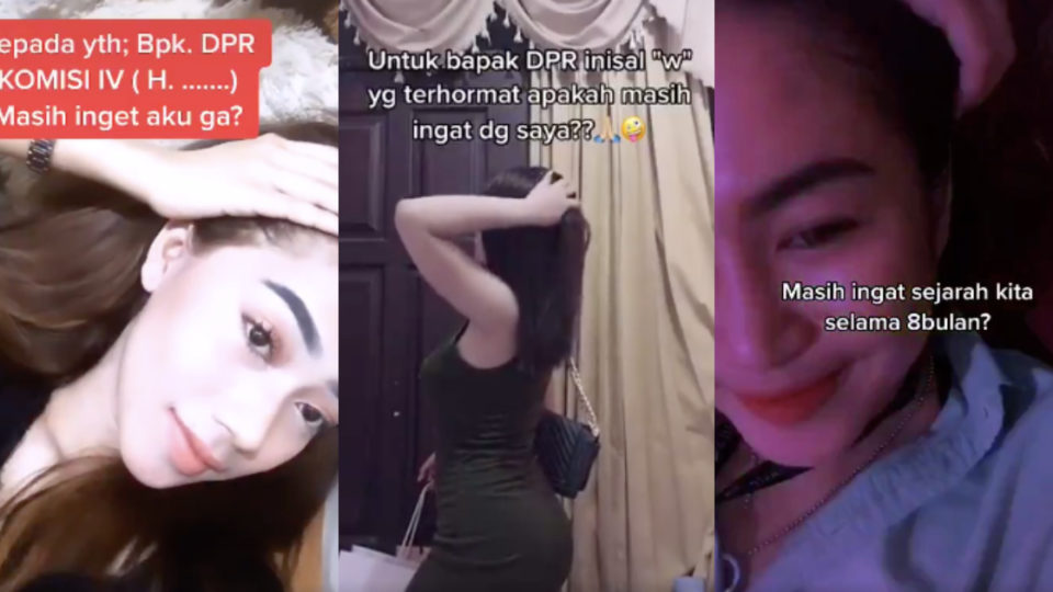 TikTok users claiming to be mistresses of Indonesia’s members of parliament. Photos: TikTok