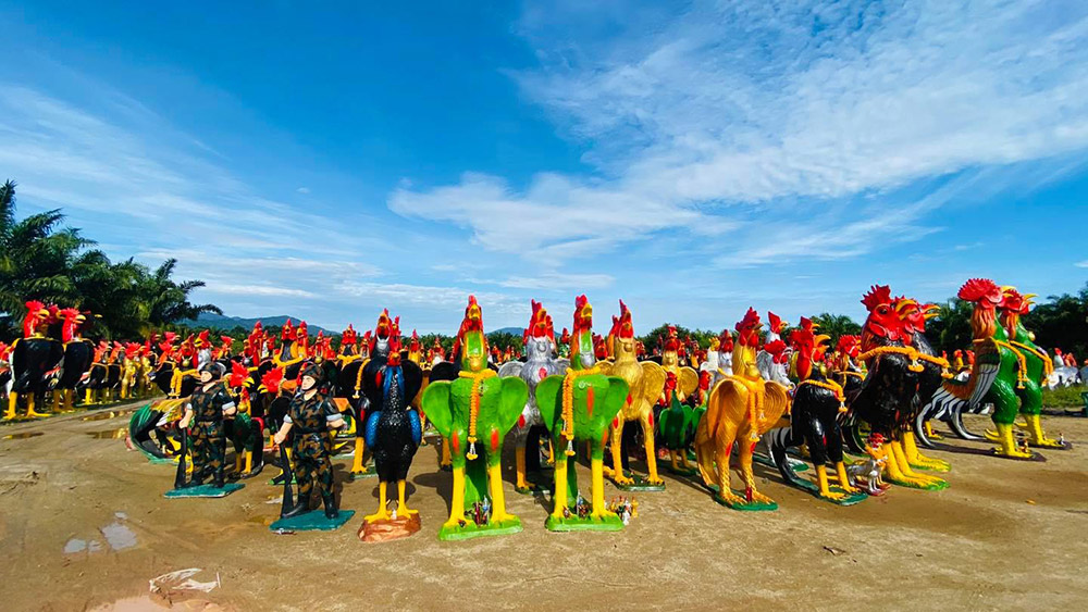 Hundreds of roosters presented as offerings. Photo: Wat Chedi Ai Khai