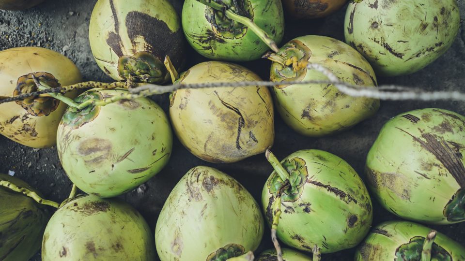 We love coconuts. Photo: Unsplash