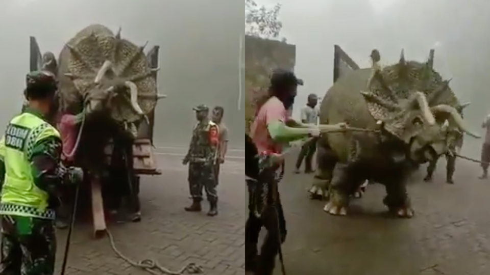 A video showing a triceratops (yes, the dinosaur) being unloaded from a truck has become a source of amusement and wonder for Indonesians on social media lately, prompting netizens to question if 2020 can get any weirder. Screenshot from Twitter/@PengendaliiApi & Instagram/@mojosemiforestpark