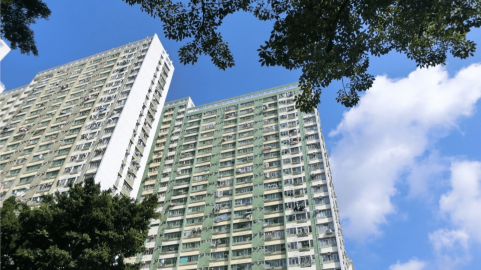 The woman was left alone at her home in Mei Lam Estate, Tai Wai, after her daughter was hospitalized with the virus. Photo via Google Maps/Wai Ki Wong