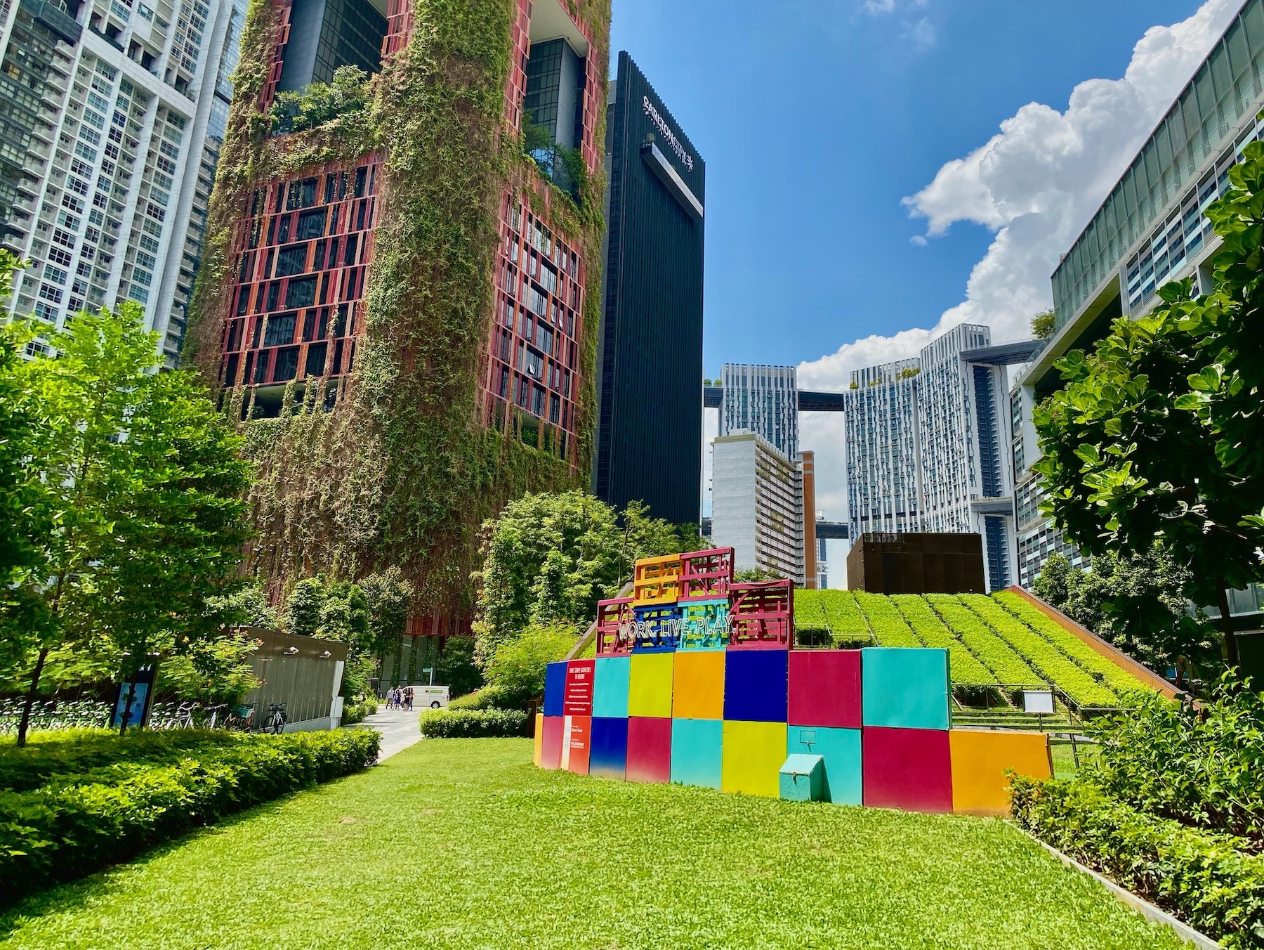 Photo: David Kubovsky / Unsplash