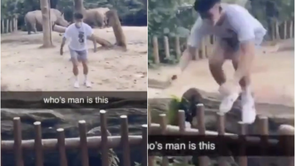 Screengrabs from a TikTok video of ‘Ralph Wee’ trespassing into the rhino enclosure at the Singapore Zoo. Photos: Ralph Wee/TikTok
