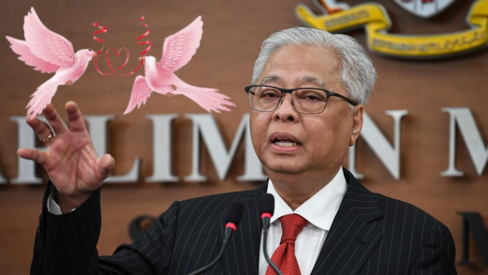 Pink doves edited on a photo of Ismail Sabri Yaakob. Photo: Coconuts