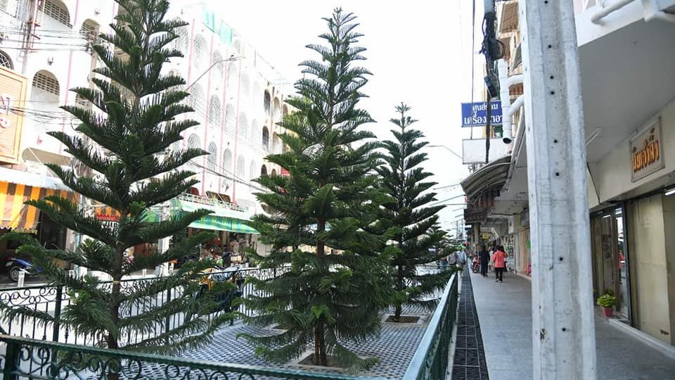 Revamped Soi Kraisri could easily be mistaken for an Alpine village with its new pine trees. Photo: Aswin Kwanmuang / Facebook
