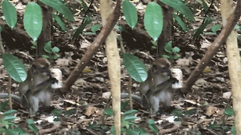 He’s clearly done this before.