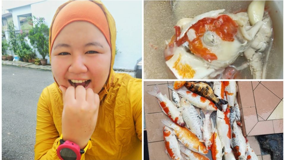 Amanda Omeychua, at left, with a bowl of cooked koi fish (top-right) and dead koi fish on the floor. Photos: Amanda Omeychua