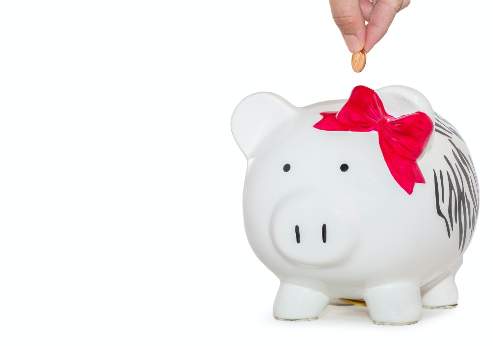 File photo of a person placing a coin into a piggy bank. Photo: Michael Longmire