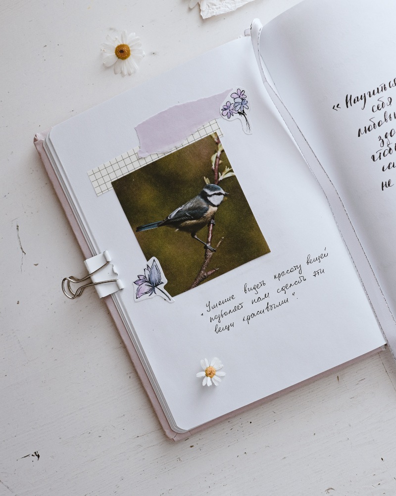 Notes handwritten in a notebook alongside an illustration of a bird. Photo: Pure Julia