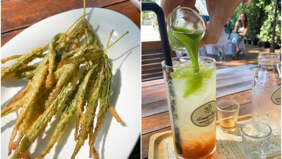 Deep-fried weed leaves served with spicy mango salad, at left, and sparkling passion fruit mixed with weed juice. 
