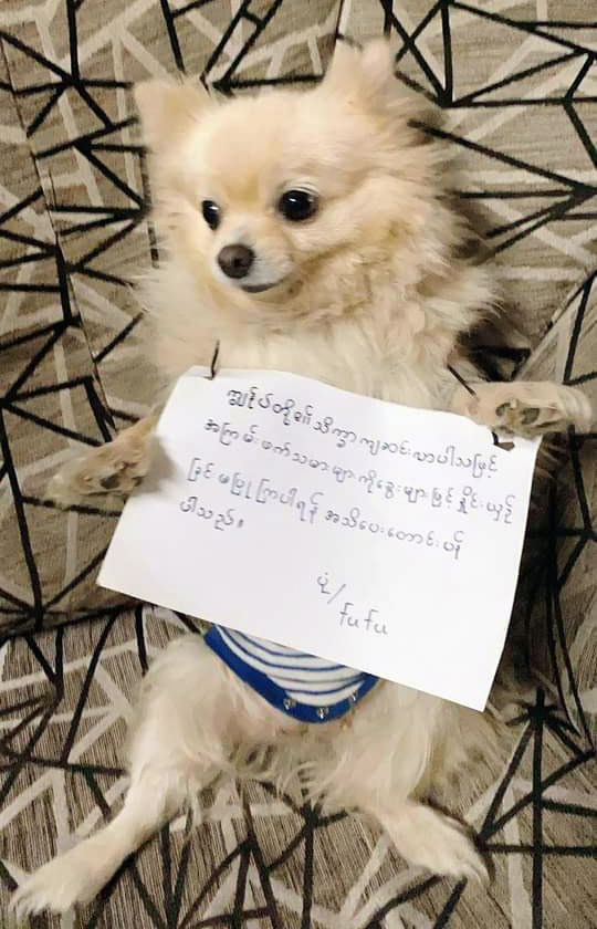 FuFu is straight up trollin' you.