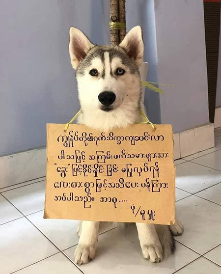 This. Can. Not. Stand. -- Signed, One Very Good Boy.