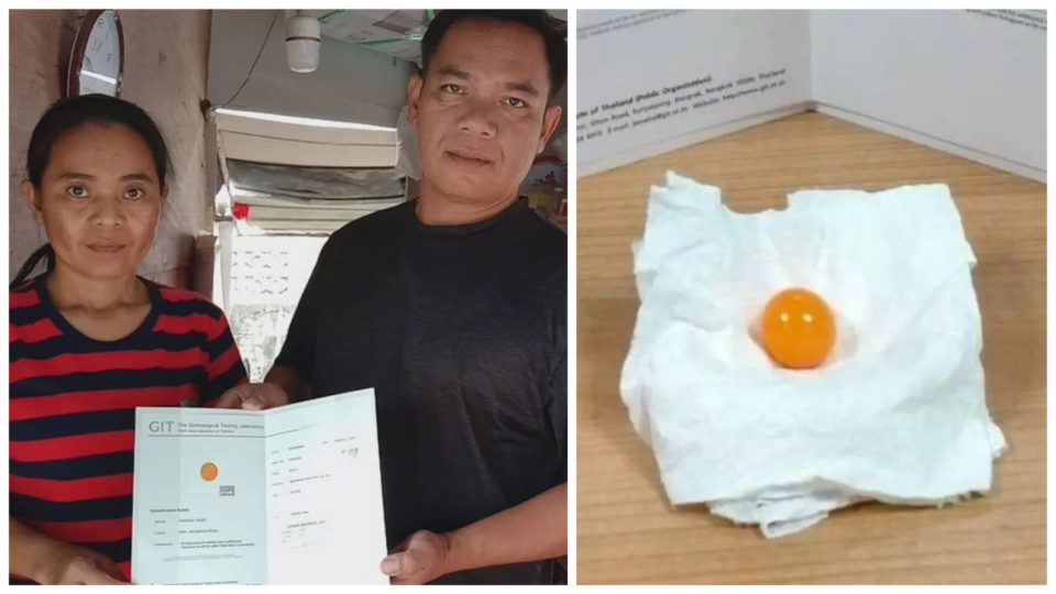 Monthien Chansook and his wife show the certificate authenticating their 65.57-carat melo pearl found by his son in a THB50 clam. 