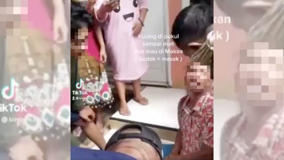 
An elderly woman in West Jakarta was caught on video admitting her intention to cook several cats for asthma medication, believing that consuming felines is a potent cure for the respiratory disease.

The clip, which has circulated widely online, showed at least four cats lying dead on the ground while the woman defends her intention to boil the felines as outraged residents crowded her. Screenshot from TikTok/@bimbim.clow & Instagram/@cat_lovers_in_the_world