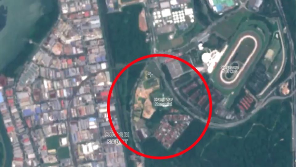 Satellite image shows the Kranji woodland cleared in March 2020. Original image: Lim_Jialiang/Twitter