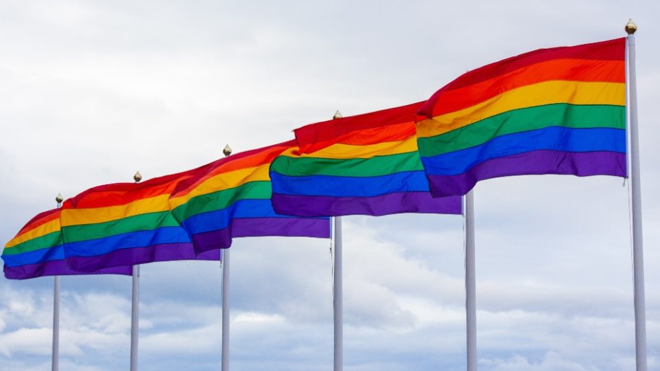 File photo of rainbow flags in a row. Photo: Jasmin Sessler
