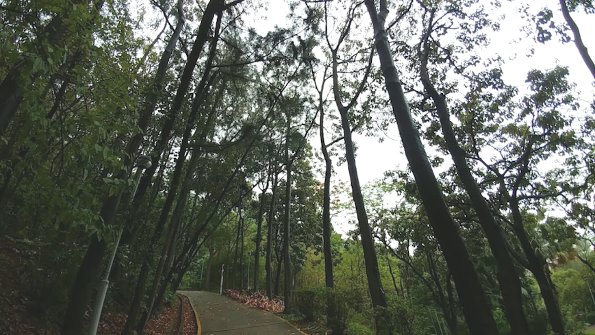 The 18-year-old woman was unconscious for seven hours and woke up haphazardly dressed in Central Kwai Chung Park. Photo: Google/Kelvin Chan