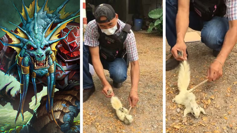 Images: Blizzard Entertainment, Kumphawapi Police Station