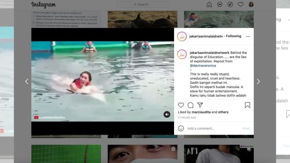 The video appears to have been removed from dangdut singer Lucinta Luna’s social media accounts, but a screen recording that bears the watermark of her YouTube channel has been reshared plenty of times since. Screengrab: Instagram