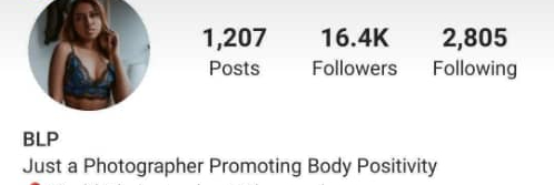 Screenshot of @Brendanleephotography’s now-deleted Instagram account description.