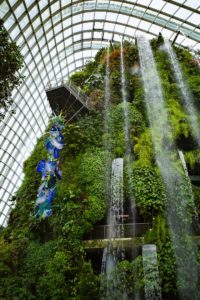 Chihuly Studio’s ‘Cloud Forest Persians’ at the Cloud Forest. Photo: Coconuts