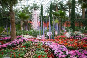 Chihuly Studio’s ‘White Tower,’ ‘Erbium Reeds’, ‘Neodymium Reeds’ and ‘Trumpet Flowers’ at the Flower Dome. Photo: Coconuts