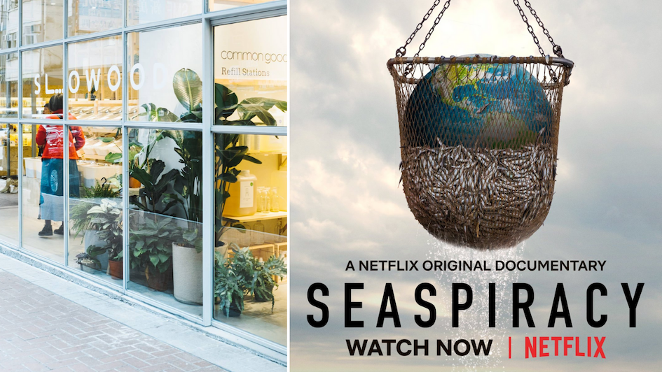 Slowood, a sustainable lifestyle store, announced on Facebook that it will stop selling fish. Photos: Facebook/Slowood and Netflix