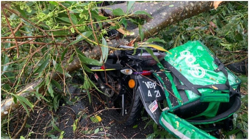 The deceased’s vehicle under the tree. Photo: Kuala Lumpur Traffic Police
