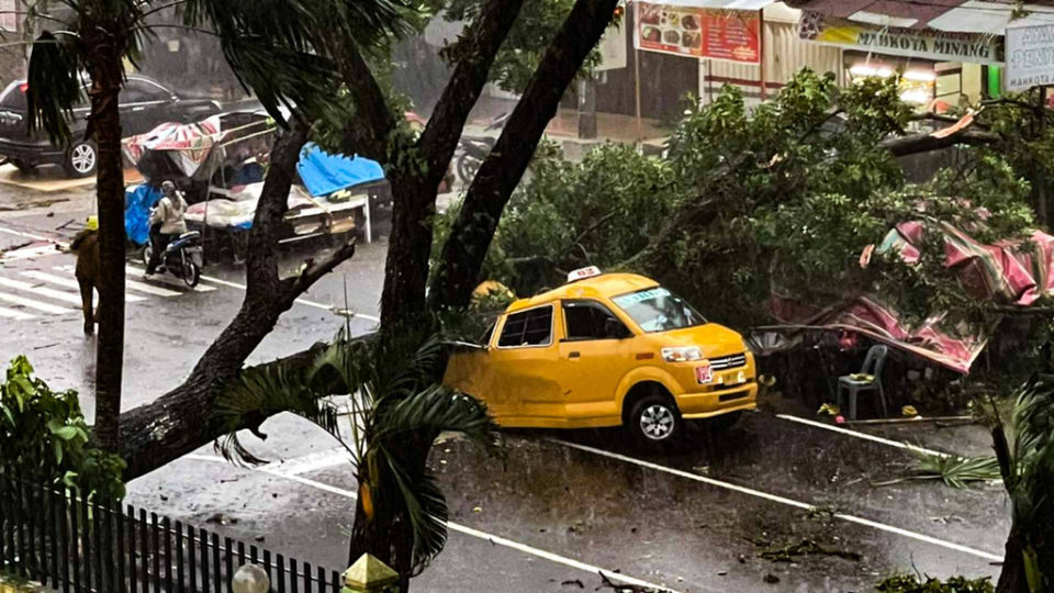 An angkot minivan crushed by a collapsed tree in front of the Haji Adam Malik General Hospital in Medan, North Sumatra on Jun. 28, 2021. Photo: Istimewa