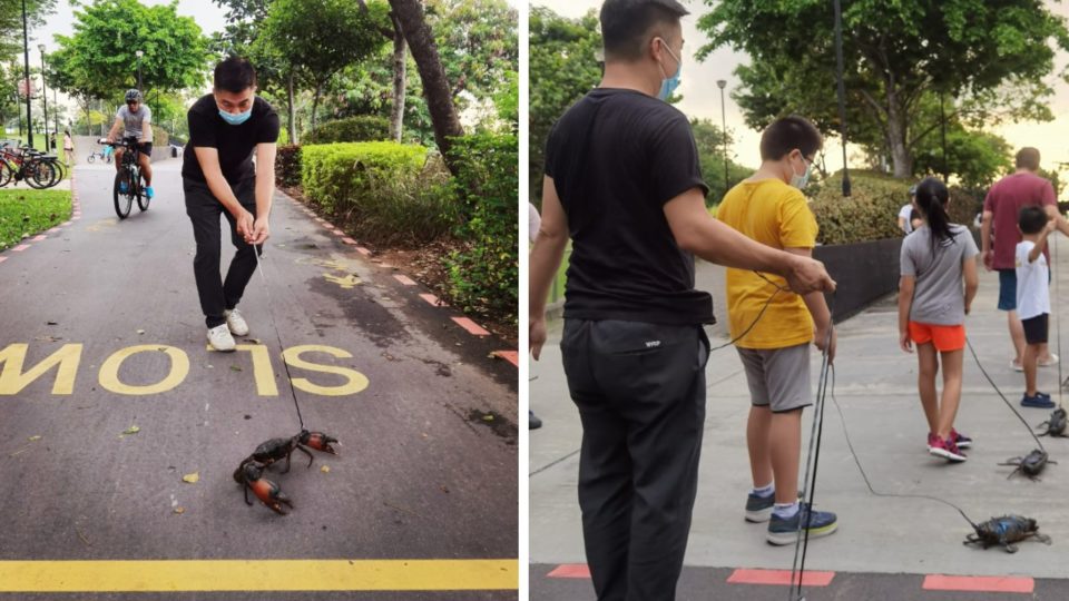 House of Seafood owner Francis Ng with live crab, at left, Ng with several others, at left. Photos: House of Seafood