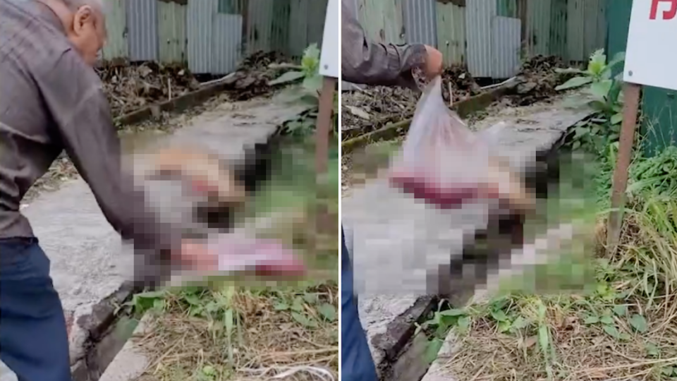 The man was spotted putting the entrails of a dead dog on a New Territories highway last October. Photos: Apple Daily