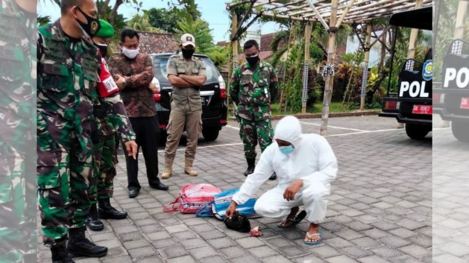 A man in Sukasada district, Buleleng regency was fined and made to wear a hazmat suit for a couple of hours as punishment for allegedly holding a cockfight amid the tightened restrictions being imposed islandwide. Photo: Kodim 1609 Buleleng