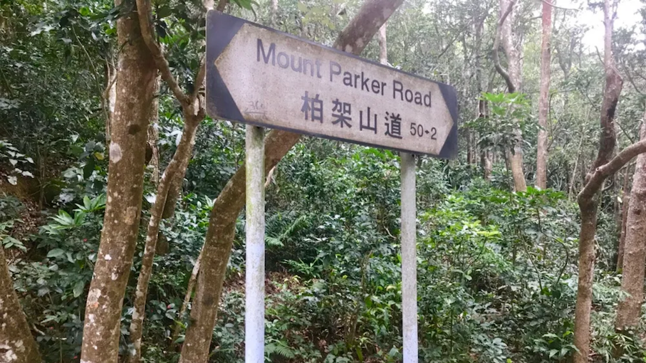 The hiker stopped to take a photo on Mount Parker Road in Quarry Bay when a wild boar charged towards her. Photo: Hong Kong Hiking Lover