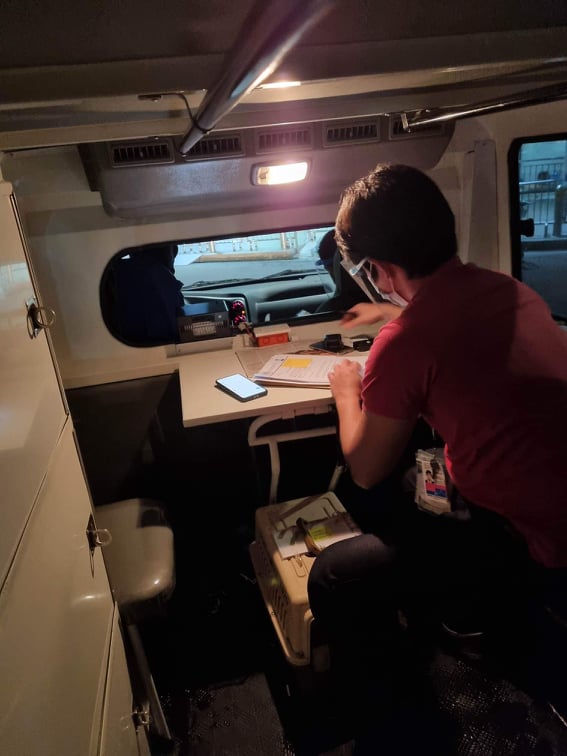 A veterinarian from the DENR Biodiversity Management Bureau filling up Pandi's papers for the flight (photo courtesy of Conservation International Philippines)