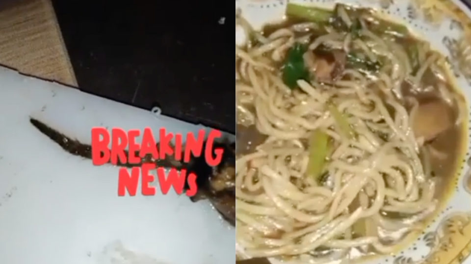 A mie ayam (chicken noodles) seller in Palopo city, South Sulawesi has filed a police report over a video where her noodle dish was shown to have allegedly contained the head and tail of a rat. Screenshot from video