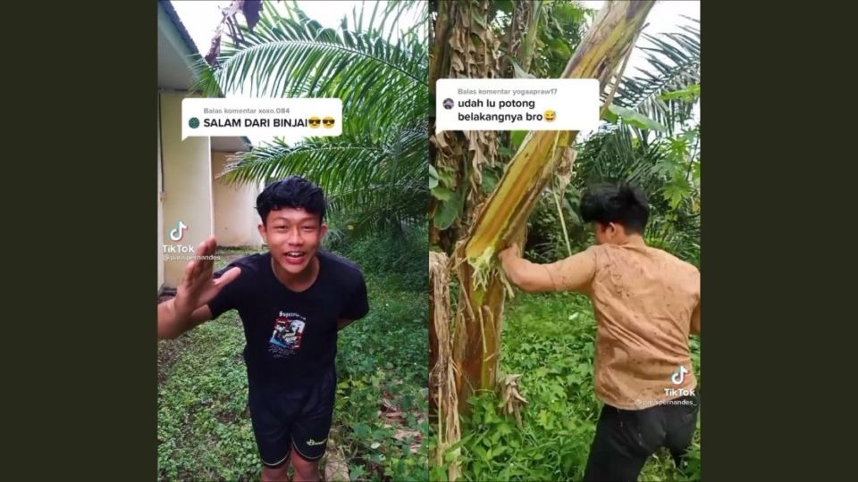 Paris Pernandes, a man from the North Sumatra city of Binjai, has gotten quite the viral rep after putting his hometown on the map by punching banana trees, to the point that officials had to urge children not to emulate their hero and hurt themselves. Screenshots from TikTok/@parispernandes_