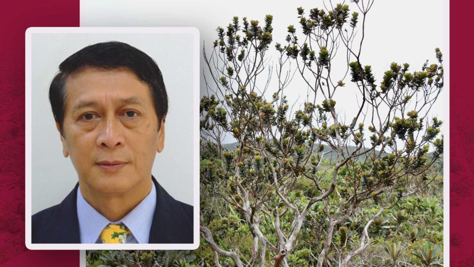 Image credit: UP Los Baños website