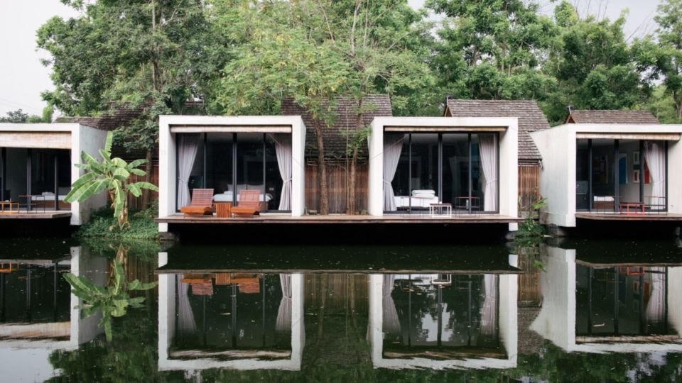 Photo: Cocoon / Courtesy