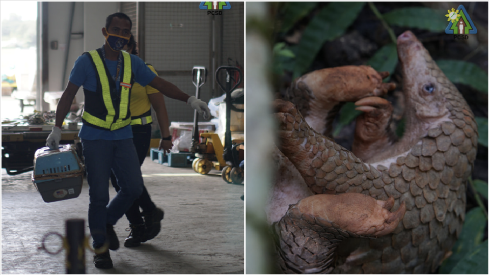 Image: Palawan Council for Sustainable Development