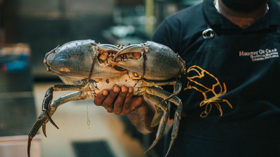 Sri Lankan Crabzilla at the Ministry of Crab in Bangkok. Photo: Coconuts Bangkok