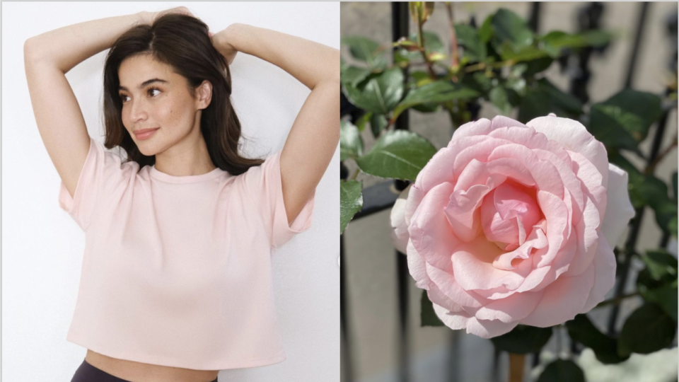 Images: Anne Curtis (Instagram)