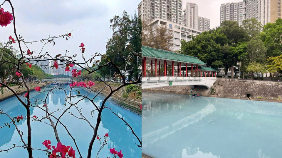 Tai Po’s Lam Tsuen River turned sky blue on Monday. (Photo: Facebook/Rex Ng & Stella Chan)